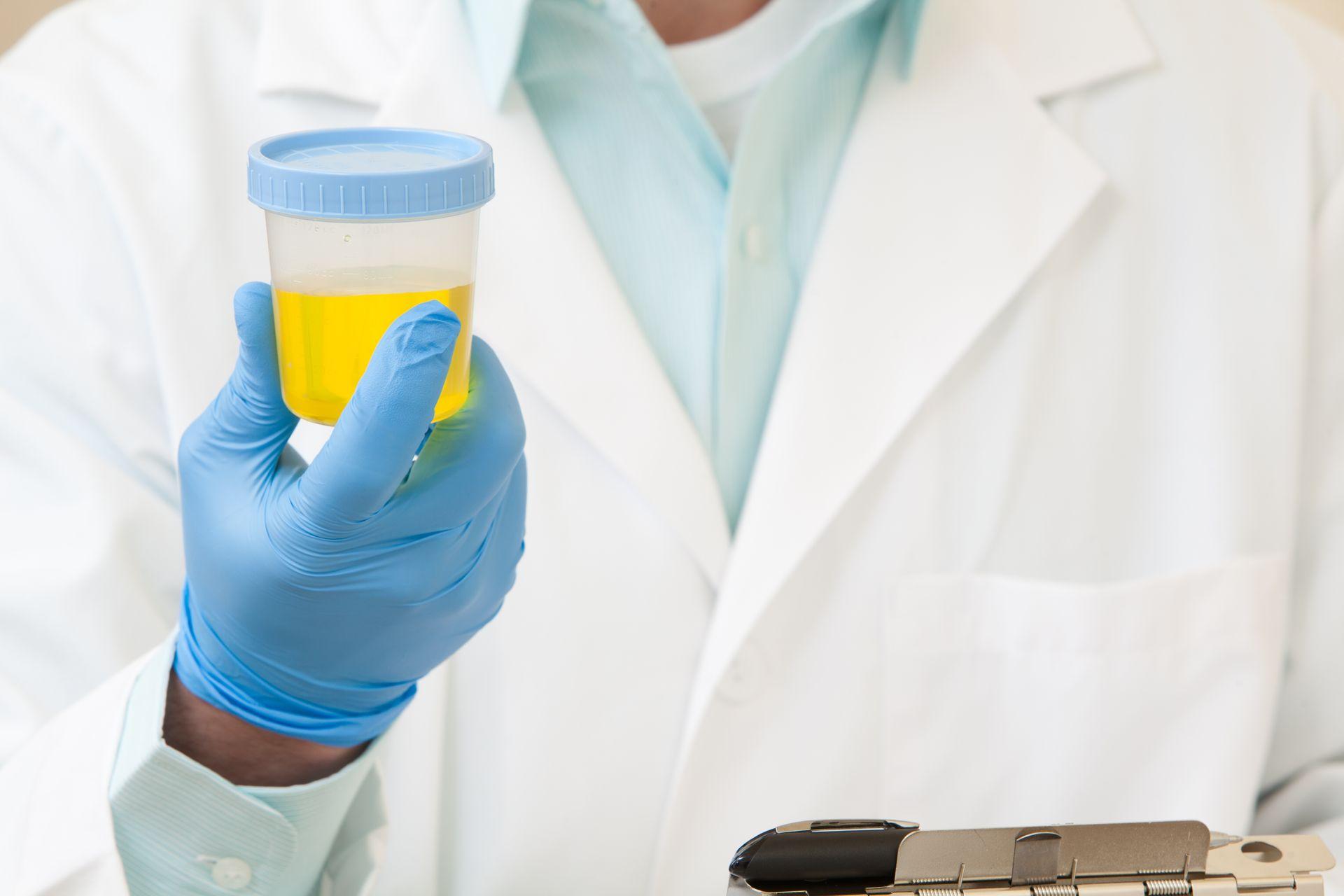 VeriFi Charlotte Drug and DNA Testing